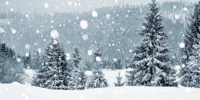 Winter is Coming! How the Changing Seasons Can Affect Your Mental Health